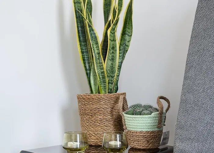 Sunny & Stylish 2Br Flat - Brand New In Porto