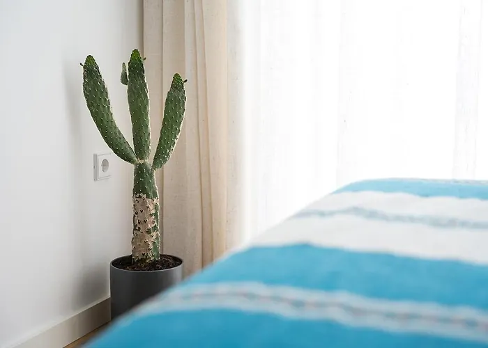 Sunny & Stylish 2Br Flat - Brand New In Porto * Oporto