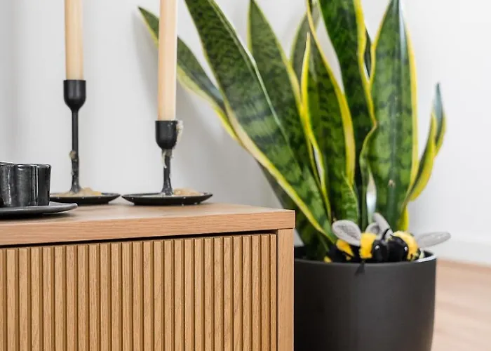 Apartment Sunny & Stylish 2Br Flat - Brand New In Porto Porto